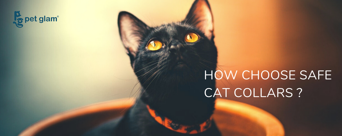 Cat top collars online