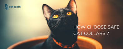 How to choose a Safe Cat Collar ?