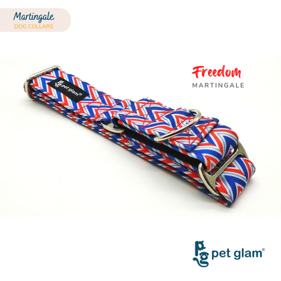 Martingale Dog Collar-Freedom 1.5 inch Wide