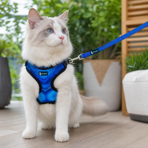 Kitty Adventure Leashes