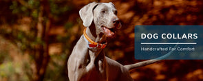 dog collars dog chain collar dog neck belt puppy collars