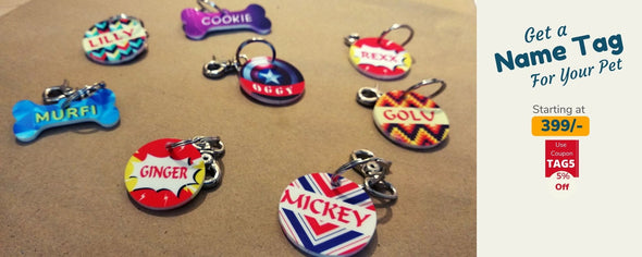 dog tags on a table showing customised name tags for dogs and cats