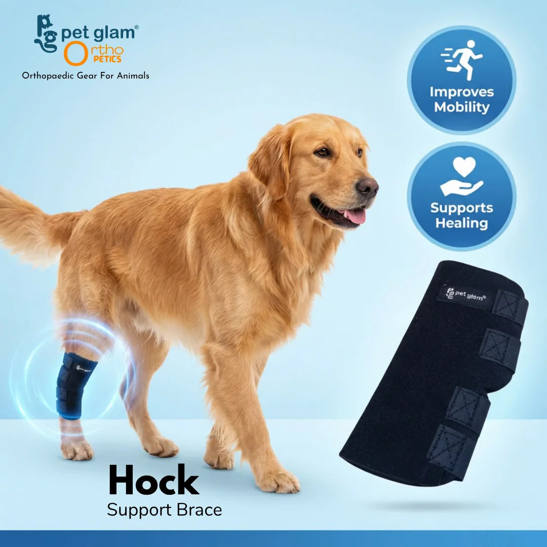 Pet Glam Dog Hock Joint Support Brace | Adjustable Compression Rear Leg Support Wrap for Dogs