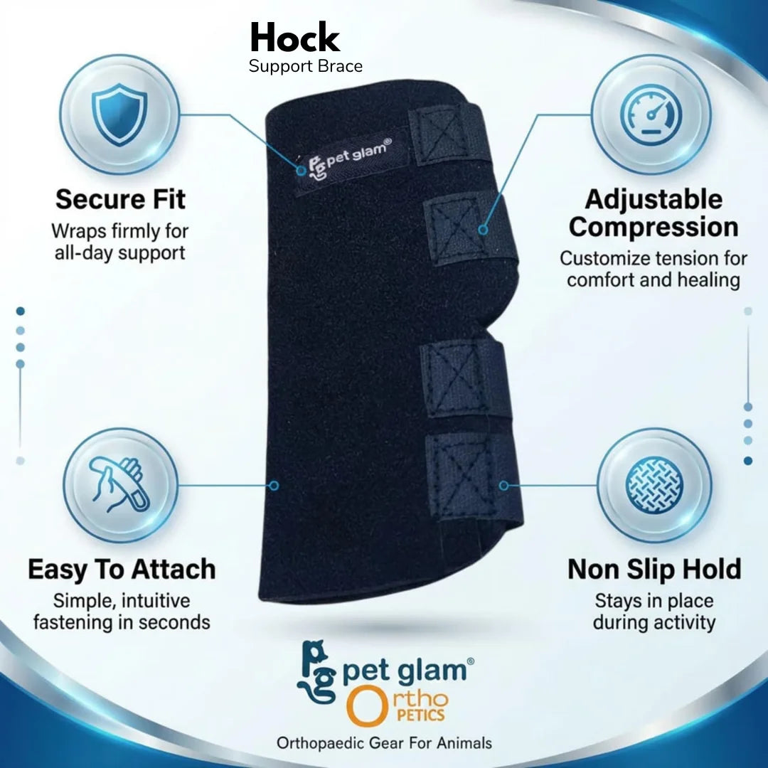 Pet Glam Dog Hock Joint Support Brace | Adjustable Compression Rear Leg Support Wrap for Dogs