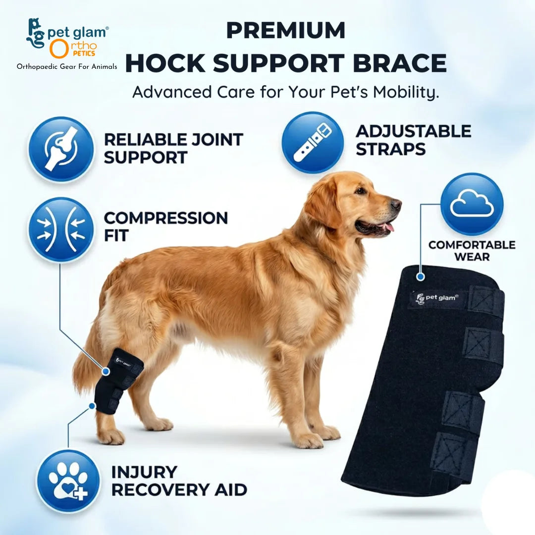 Pet Glam Dog Hock Joint Support Brace | Adjustable Compression Rear Leg Support Wrap for Dogs