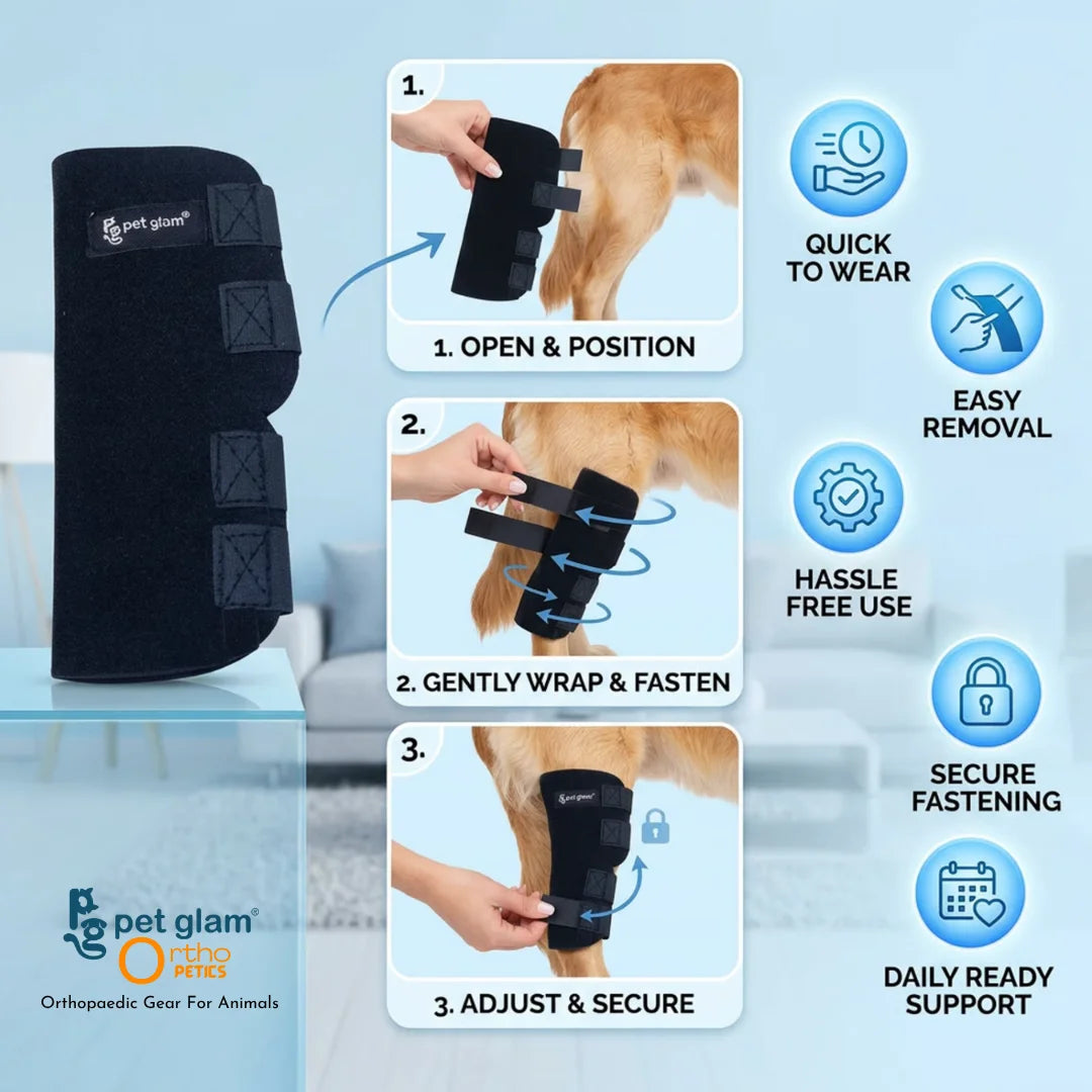 Pet Glam Dog Hock Joint Support Brace | Adjustable Compression Rear Leg Support Wrap for Dogs