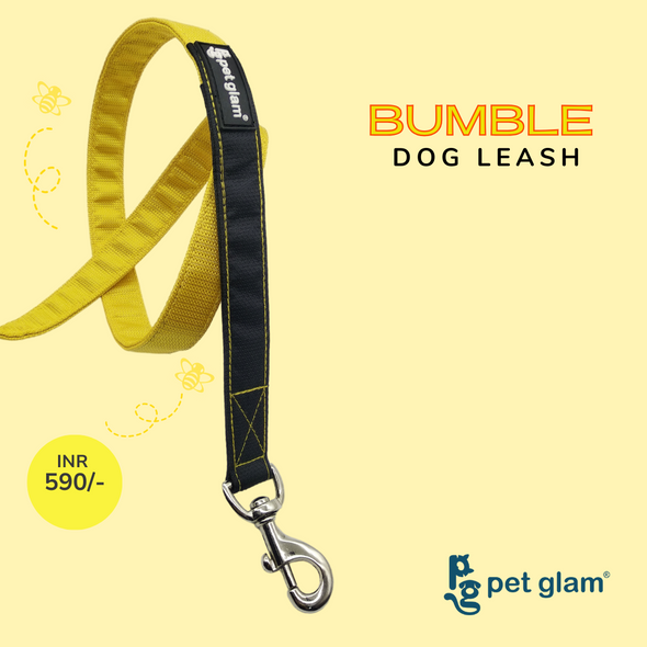 Pet Glam-Dog Leash Bumble 5Ft long