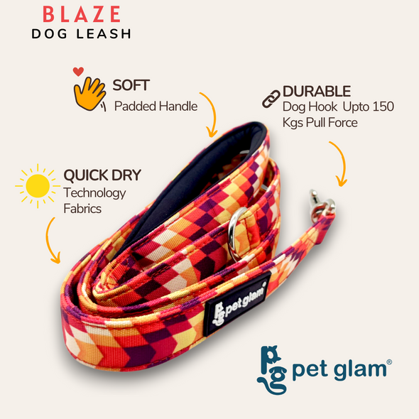 Pet Glam-Dog Leash For Puppies and Large Dogs-Blaze-Soft Handle-Strong Dog Leash-5 Ft Long 1 inch Wide-Sprint