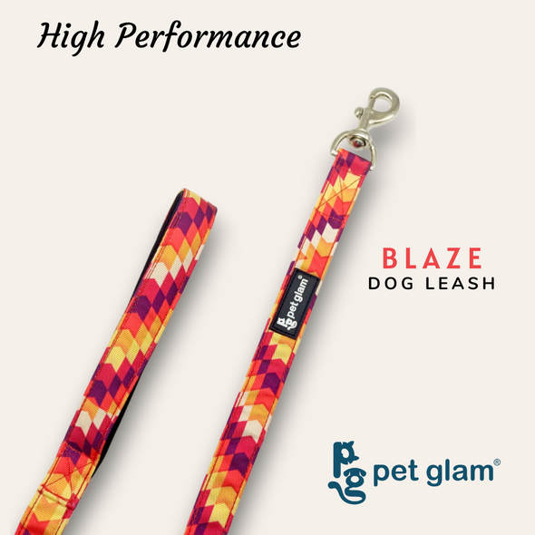 Pet Glam-Dog Leash For Puppies and Large Dogs-Blaze-Soft Handle-Strong Dog Leash-5 Ft Long 1 inch Wide-Sprint