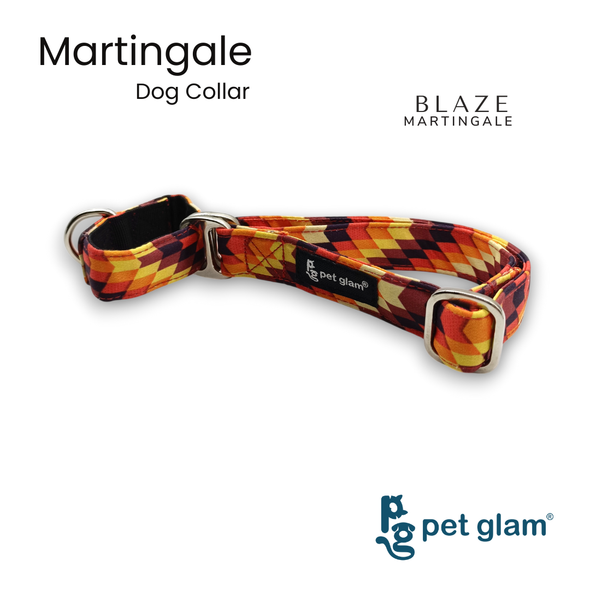 Martingale Dog Collar-BLAZE