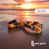 Martingale Dog Collar-BLAZE
