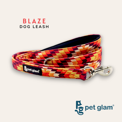 Pet Glam-Dog Leash For Puppies and Large Dogs-Blaze-Soft Handle-Strong Dog Leash-5 Ft Long 1 inch Wide-Sprint