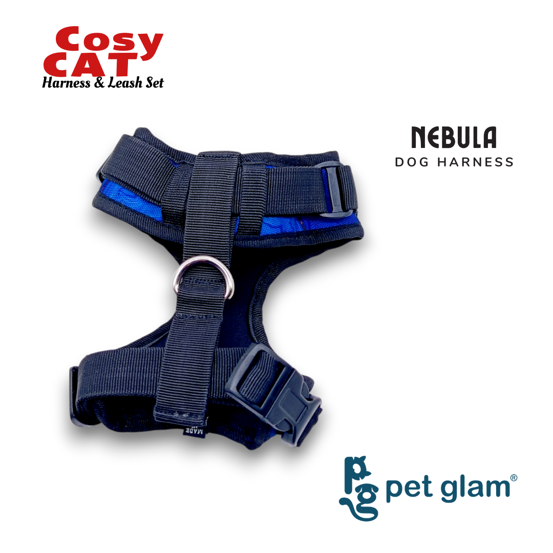 Harness-2