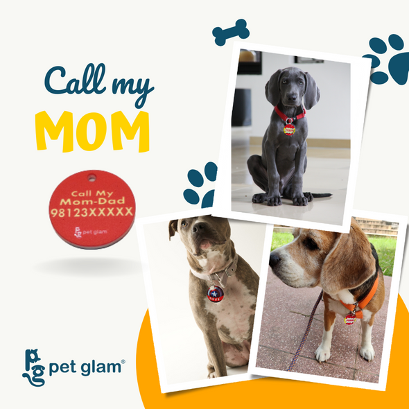 Customised Dog Name Tag-Riley-Round