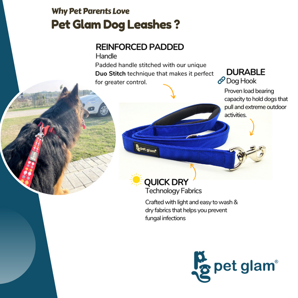 Pet Glam-Dog Leash MILO Large-with Padded Handle 1" wide - Leash for Big Dogs