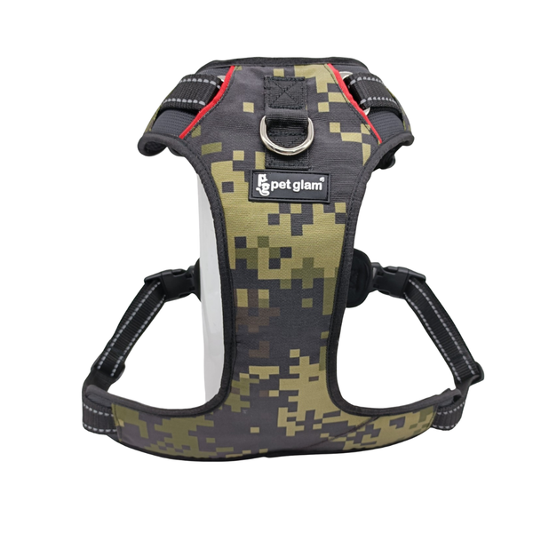 ECHO-1