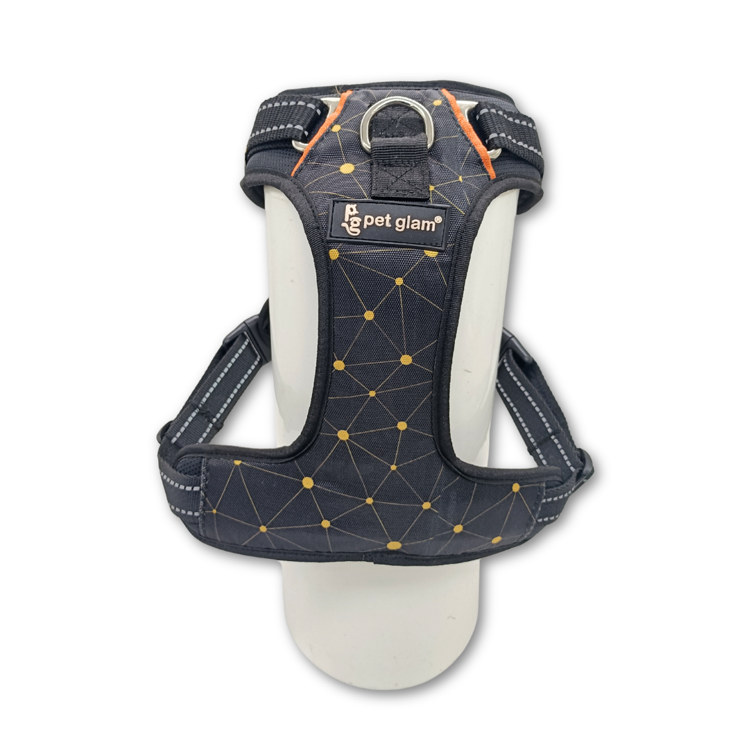 ORION-4
