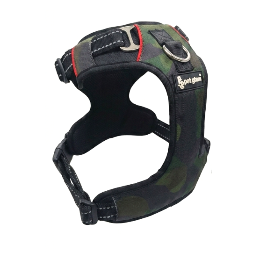 REGI-4