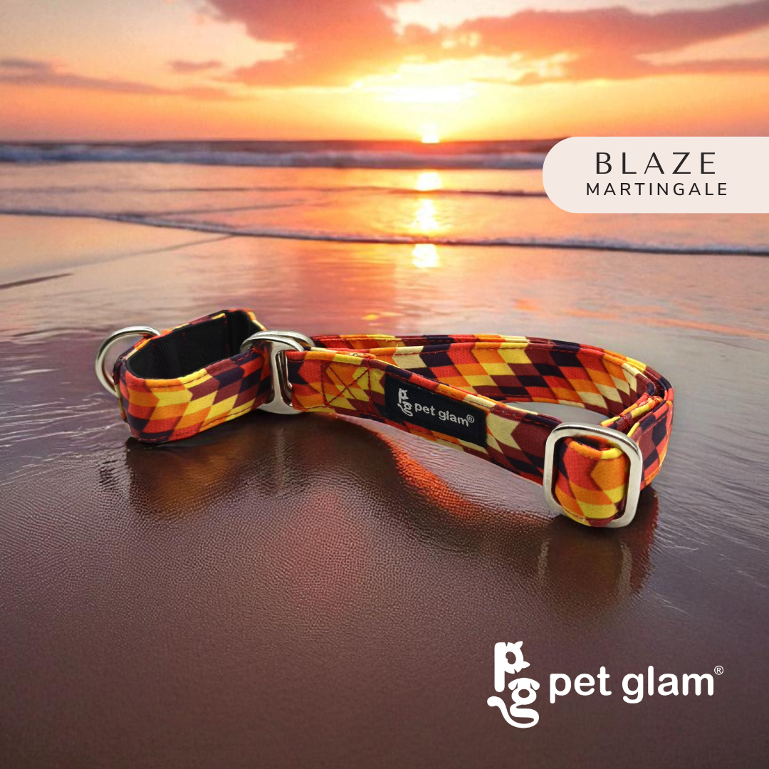 Blaze-3