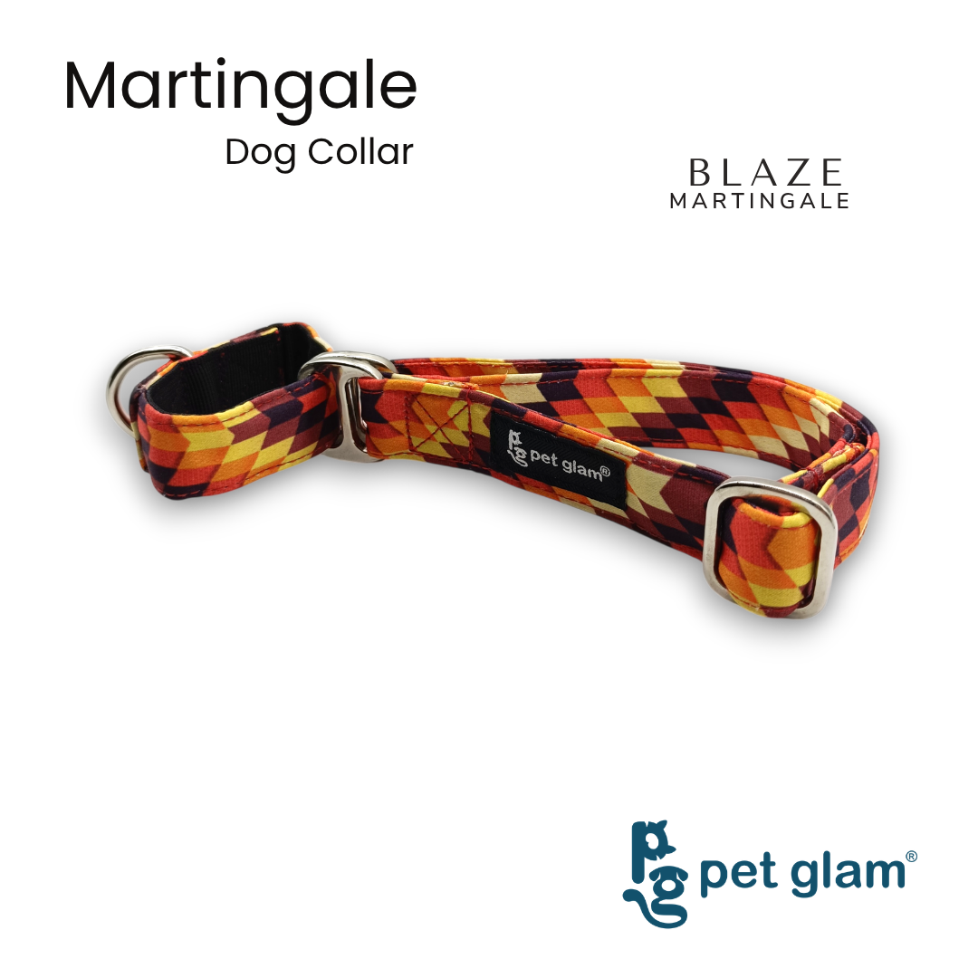 Blaze-5