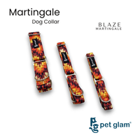 Blaze-2