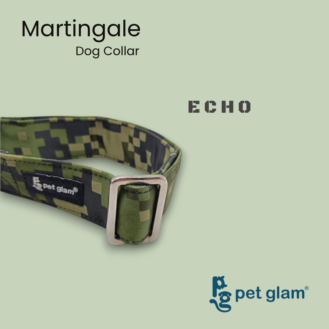Echo-6