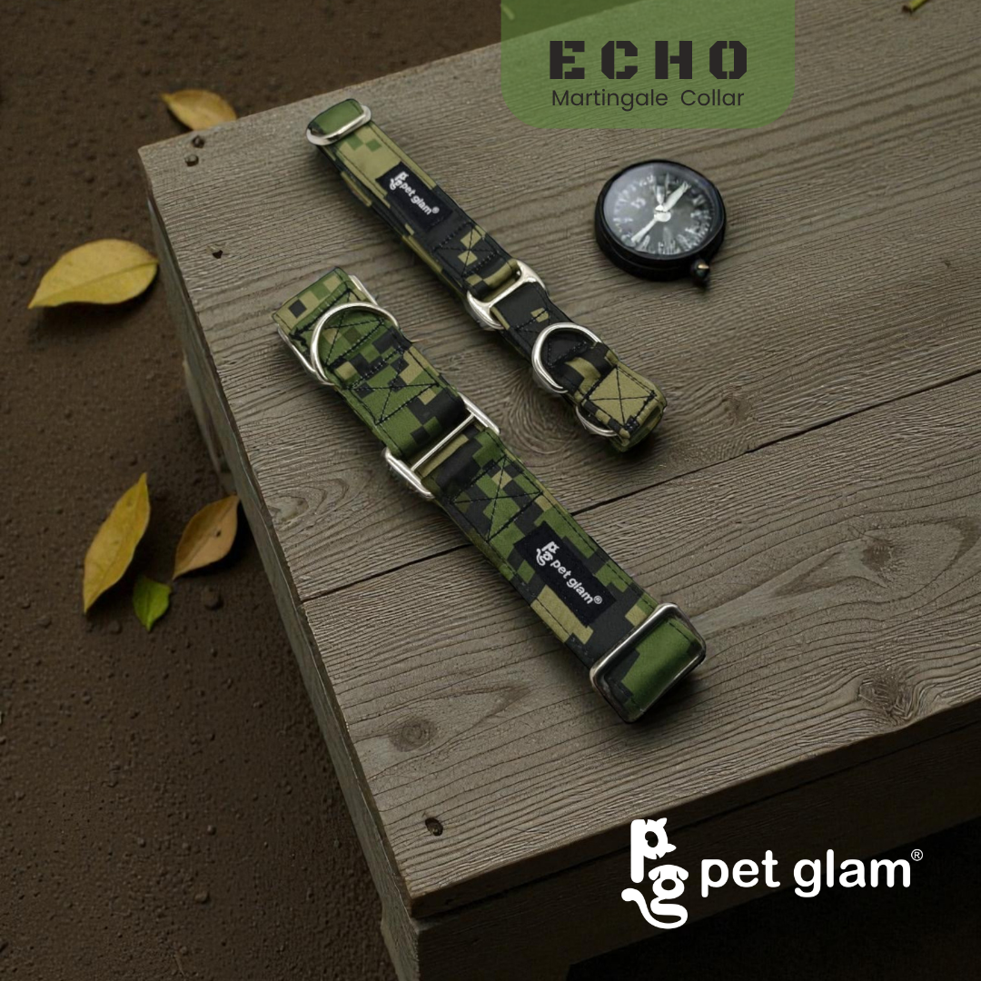 Echo-4