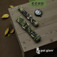 Echo-4