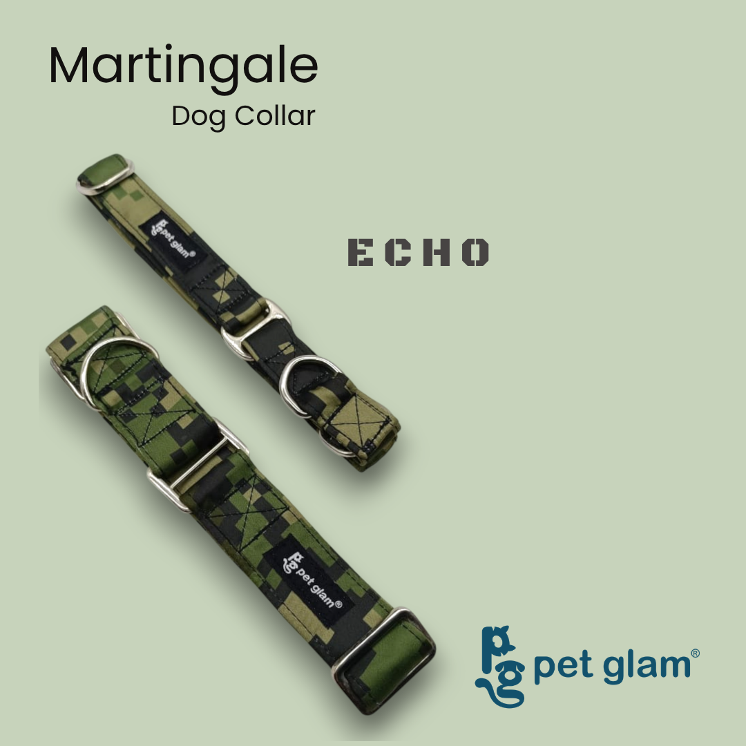 Echo-3