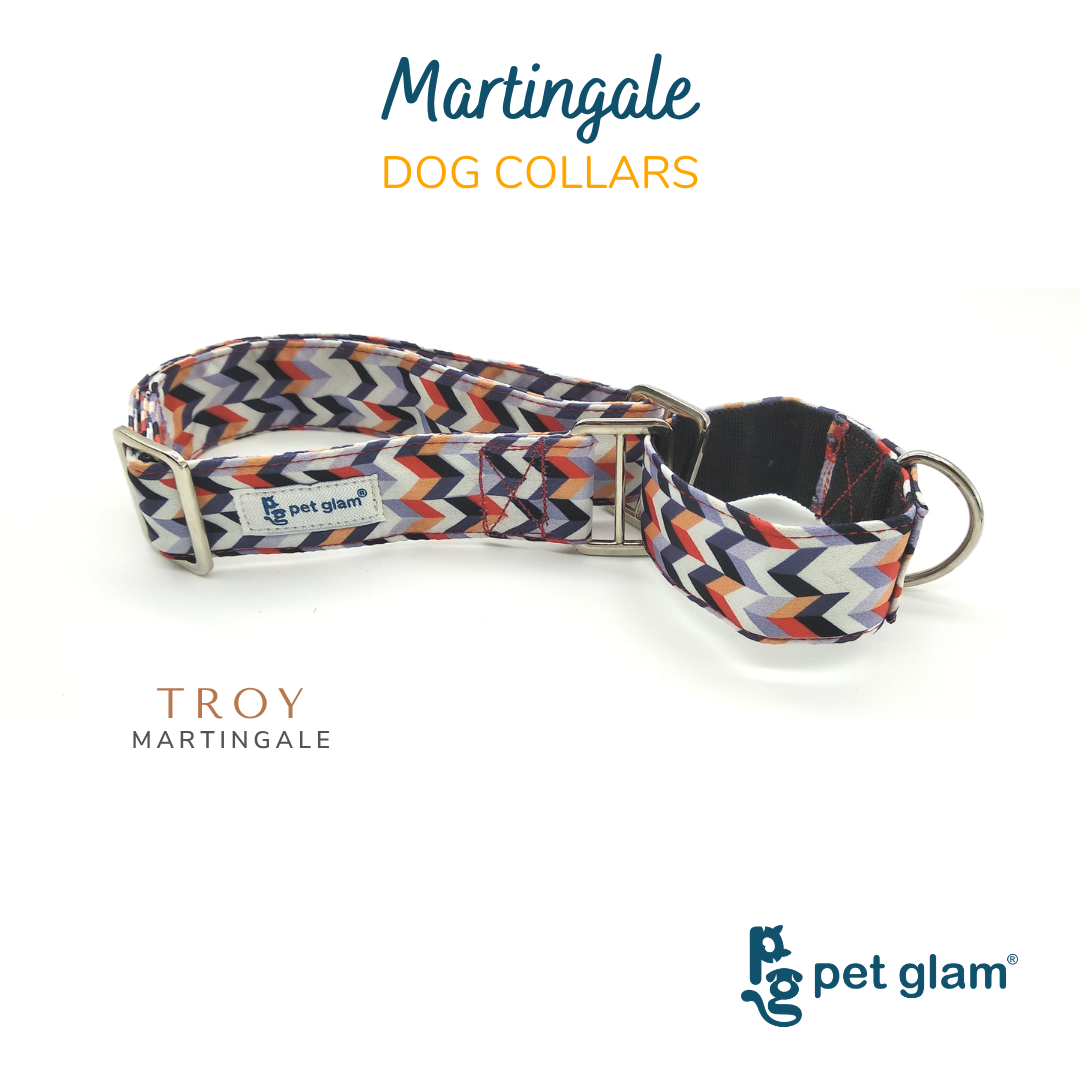 Pet Glam Troy Martingale Collar for Dogs | Secure Walk Control Collar for Pullers Training Sessions and Daily Outdoor Use