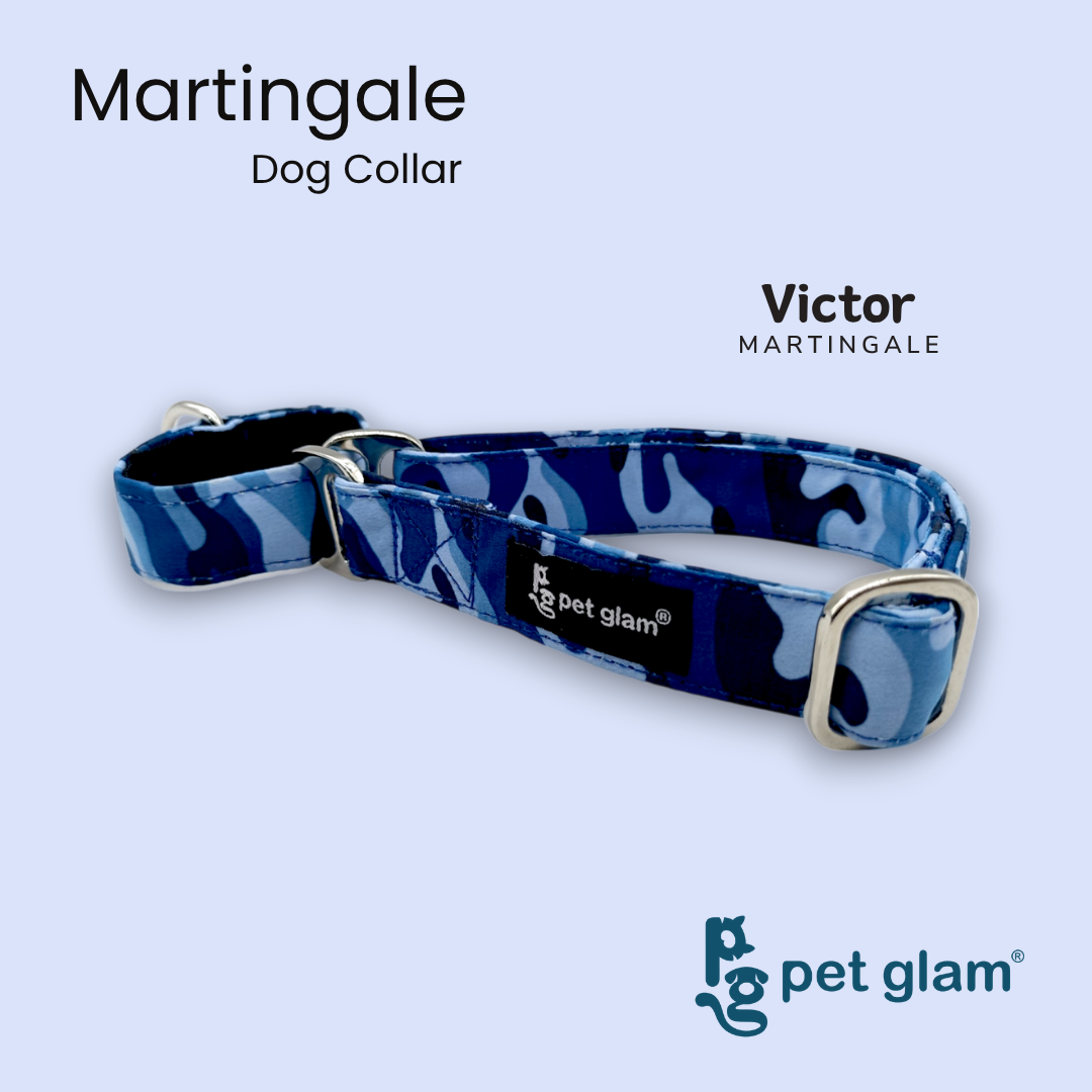 Victor-3