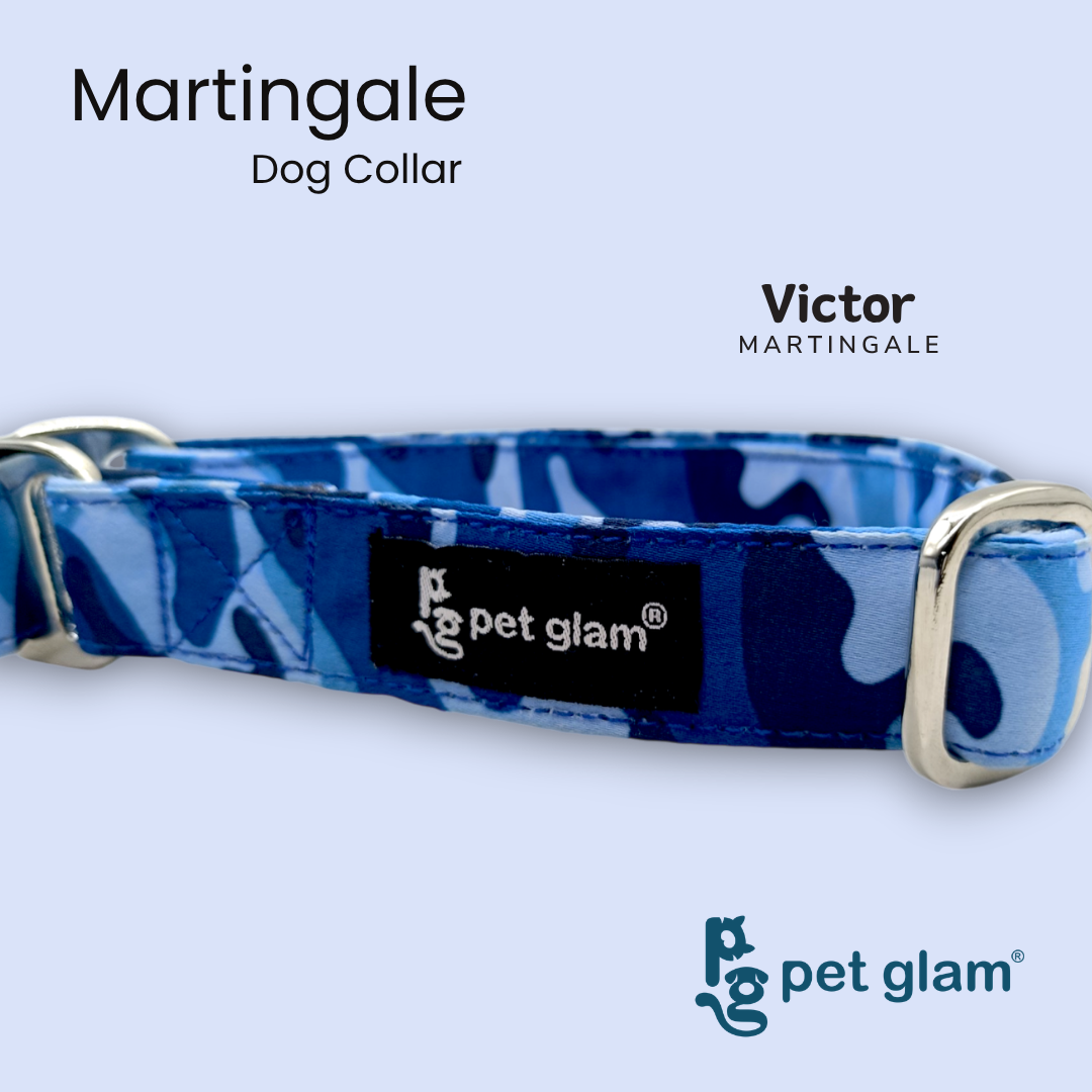 Victor-4