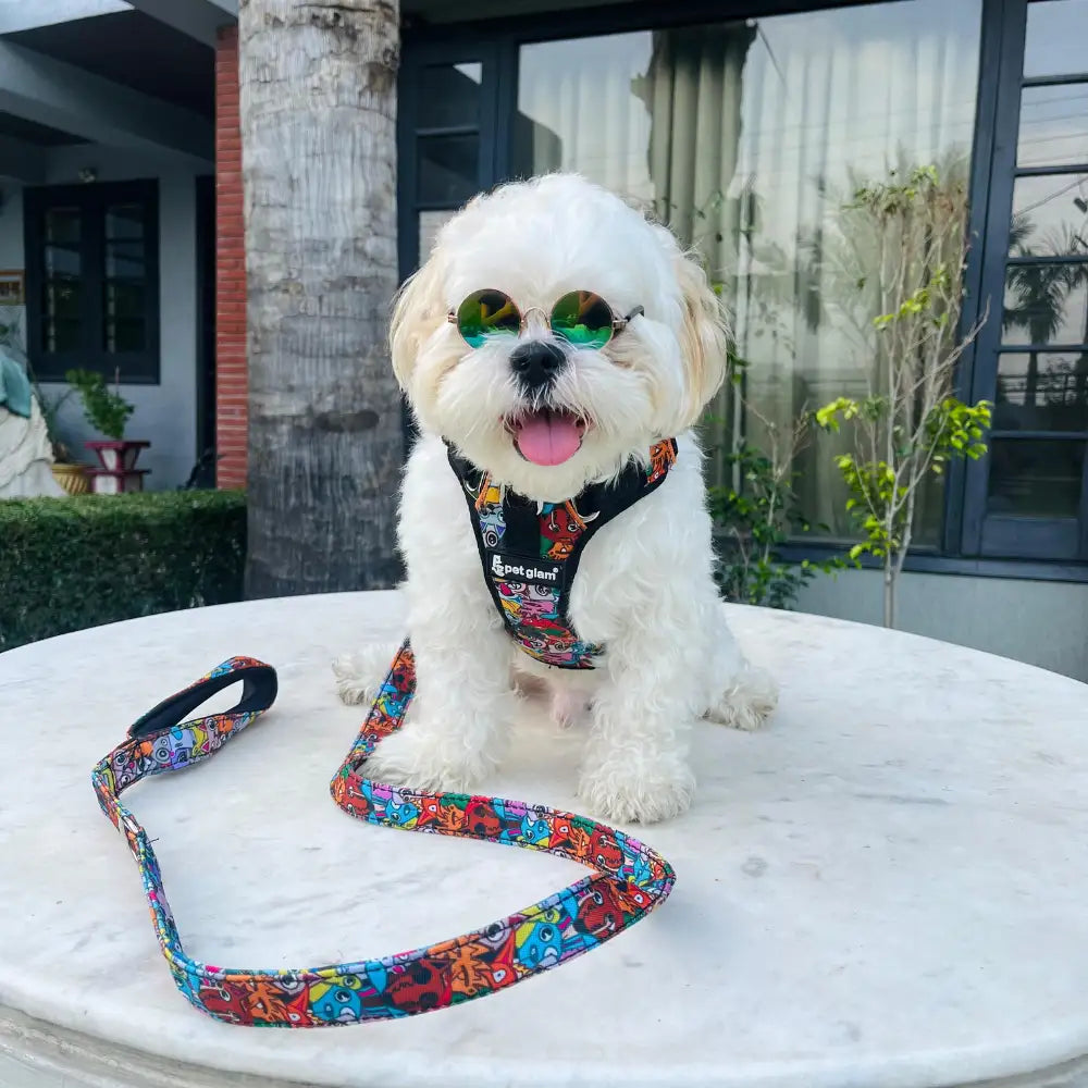 Pet Glam Mad House Padded Dog Harness for Dogs | Comfortable Harness for Training ,Daily Walks ,Travel and Outdoor Activities