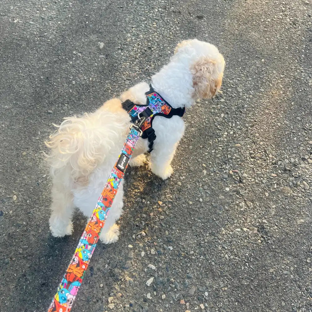 Pet Glam Mad House Padded Dog Harness for Dogs | Comfortable Harness for Training ,Daily Walks ,Travel and Outdoor Activities