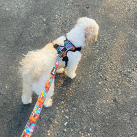 Pet Glam Mad House Padded Dog Harness for Dogs | Comfortable Harness for Training ,Daily Walks ,Travel and Outdoor Activities