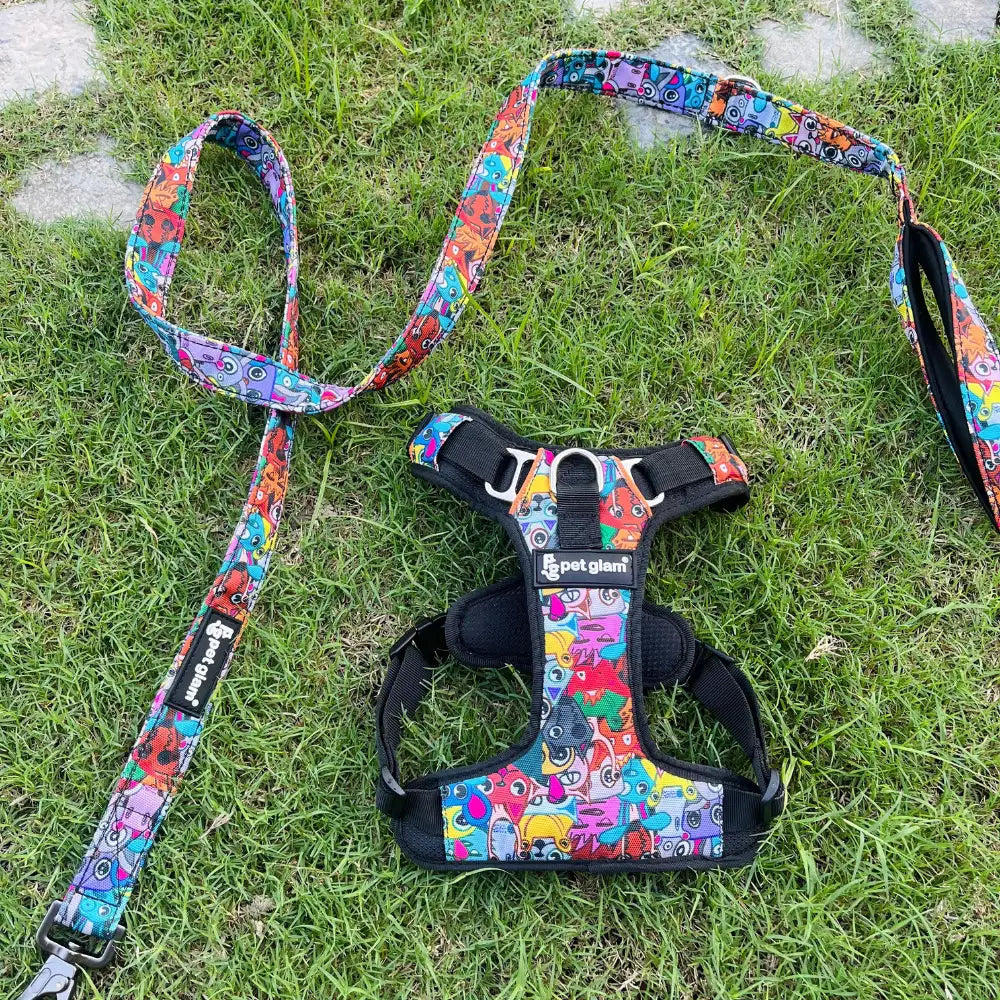 Pet Glam Mad House Padded Dog Harness for Dogs | Comfortable Harness for Training ,Daily Walks ,Travel and Outdoor Activities