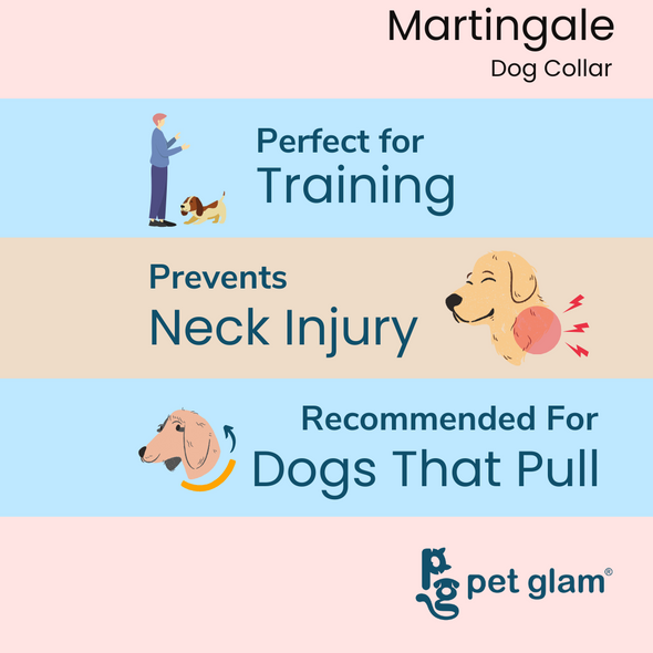 Martingale Dog Collar-BLAZE