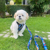 Pet Glam Milo Padded Dog Harness for Dogs | Comfortable Everyday Harness for Walks Training Travel and Active Outdoor Use