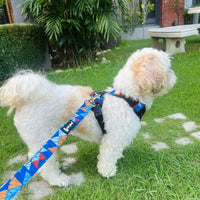 Pet Glam Milo Dog Leash for Dogs | 5 Ft Heavy Duty Leash with Soft Padded Handle