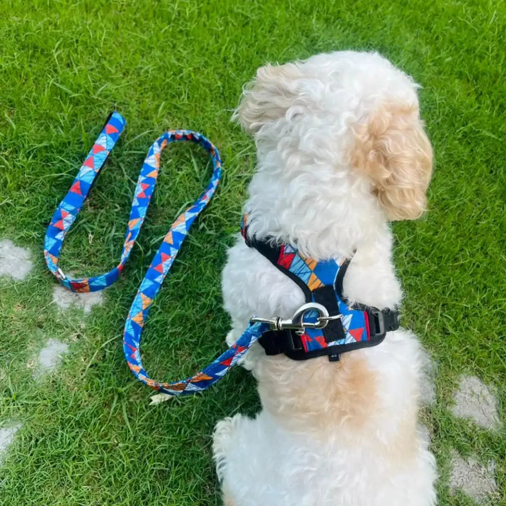 Pet Glam Milo Padded Dog Harness for Dogs | Comfortable Everyday Harness for Walks Training Travel and Active Outdoor Use