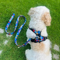 Pet Glam Milo Padded Dog Harness for Dogs | Comfortable Everyday Harness for Walks Training Travel and Active Outdoor Use