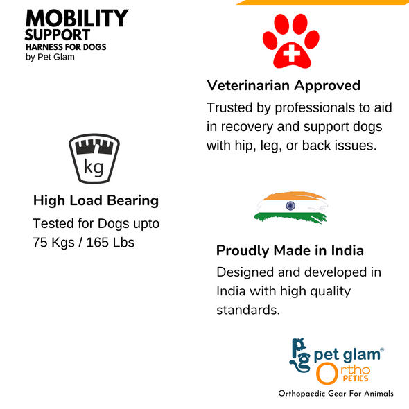 Mobility Support Harness for Hip dysplasia -Injured dogs - Senior Dogs- Walking Brace for Dogs
