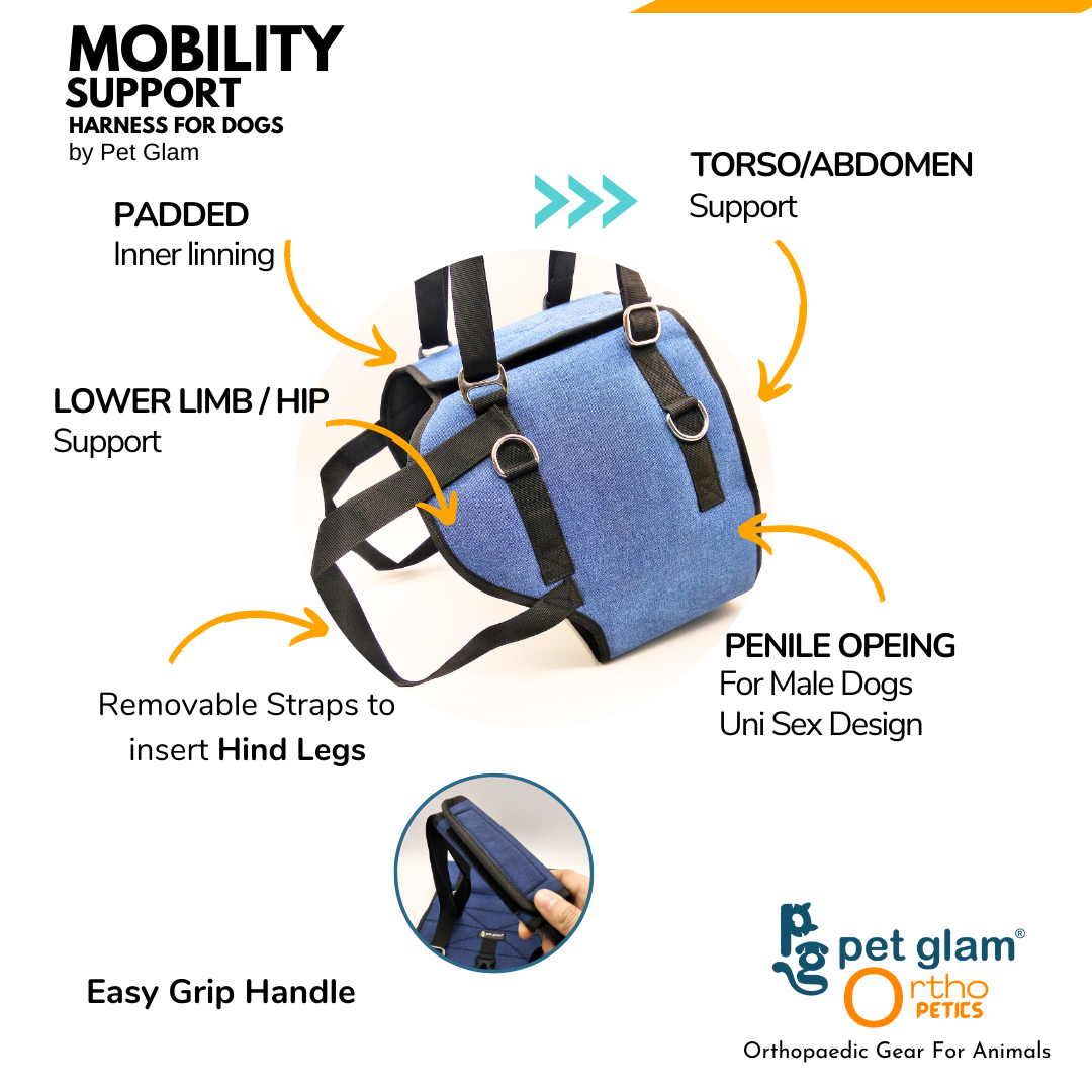 Brace and mobility support harnesses online