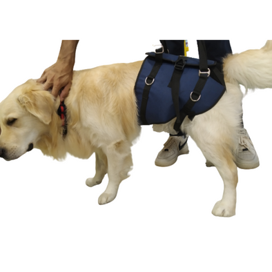 Dog Harnesses, Pet Travel Products