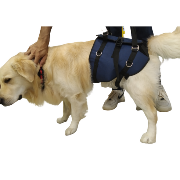 Mobility Support Harness for Hip dysplasia -Injured dogs - Senior Dogs- Walking Brace for Dogs