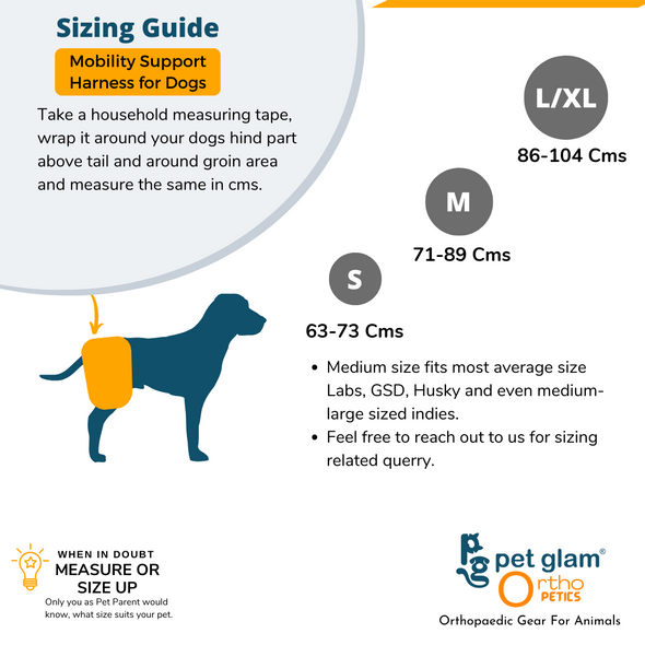 Mobility Support Harness for Hip dysplasia -Injured dogs - Senior Dogs- Walking Brace for Dogs