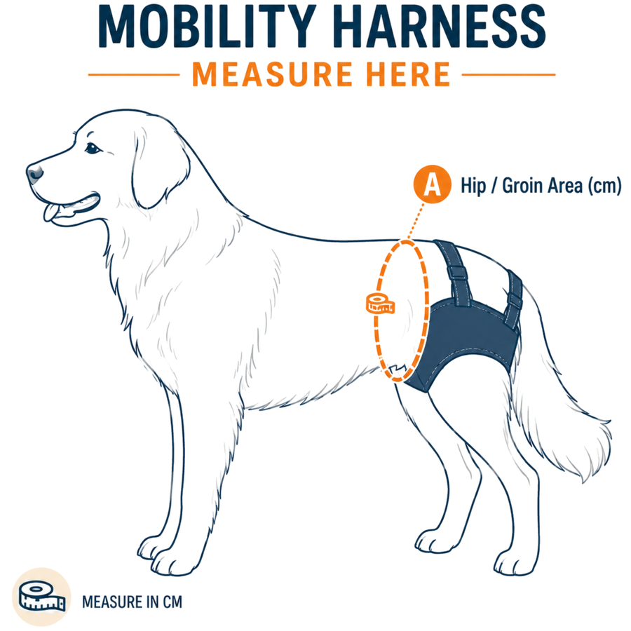 Mobility Harness — where to measure