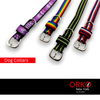 Orko New York Adjustable Dog Collar Belt for Large Dogs Austin