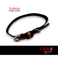 Kansas-4