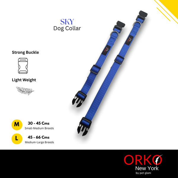 Sky-1